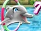 بازی My Dolphin Show 7 آنلاین