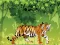 بازی Angry Tiger Coloring آنلاین