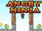 بازی Angry Ninja آنلاین