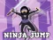 بازی Ninja Jump آنلاین