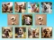 بازی Doggie Duo Discoveries آنلاین