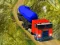بازی Indian Cargo Truck Simulator آنلاین