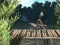 بازی Bike Trial Xtreme Forest آنلاین