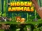 بازی Hidden Animals آنلاین