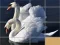 بازی Animals Slide Puzzle آنلاین