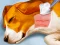 بازی Dog Hospital آنلاین