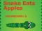 بازی Snake Eats Apples آنلاین