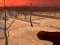 بازی Wasteland Shooters آنلاین