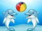 بازی Dolphin Show آنلاین