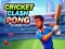 بازی Cricket Clash Pong آنلاین
