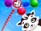 بازی Raccoon Rescue آنلاین