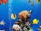 بازی Sea Underwater Difference آنلاین