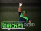 بازی Cricket Fielder Challenge آنلاین
