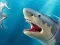 بازی Shark Hunting آنلاین