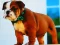 بازی Bulldog Puppy Puzzle آنلاین