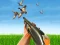 بازی Bird Hunting آنلاین