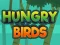 بازی Hungry Birds آنلاین