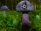 بازی Mushroom Forest Adventure آنلاین