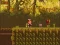 بازی The Lost Forest آنلاین