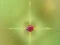 بازی Pest Control آنلاین