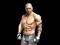 بازی Fight Arena Online آنلاین
