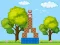 بازی Box Challenge آنلاین