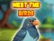 بازی Meet The Birds آنلاین