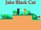 بازی Jake Black Cat آنلاین