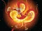 بازی Chinese Dragons Coloring آنلاین