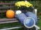 بازی Autumn Garden Find 100 butterflies آنلاین