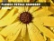 بازی Flower Petals Raindrop Jigsaw آنلاین