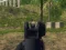 بازی Army Shooter آنلاین