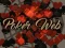 بازی Poker Web آنلاین