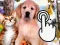 بازی Pets Clicker آنلاین