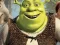 بازی Shrek Jigsaw Puzzle Collection آنلاین