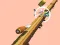 بازی Spiral Rush آنلاین