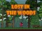 بازی Lost in the Woods آنلاین