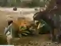بازی Andy's Dinosaur Adventures آنلاین