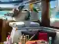 بازی Caribbean Crime آنلاین