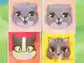 بازی Kitten Match آنلاین