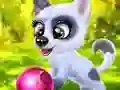 بازی Happy Dog آنلاین