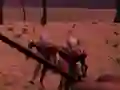 بازی Last Defense آنلاین