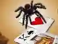 بازی Jumping Spider آنلاین