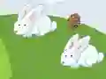 بازی Crazy Eggs آنلاین