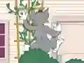 بازی Tom und Jerry: Wasserbomben Wahnsinn آنلاین
