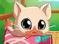 بازی My Pocket Pets Kitty Cat آنلاین