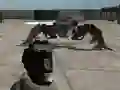 بازی Mech Aggression آنلاین