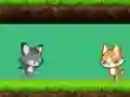 بازی Cat vs Dog آنلاین