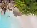 بازی Seychelles Beach Jigsaw Puzzle آنلاین