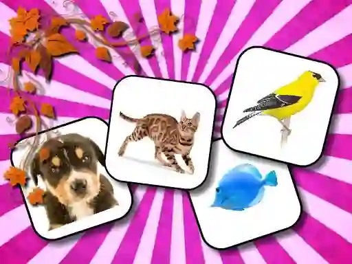 بازی Animals Memory آنلاین